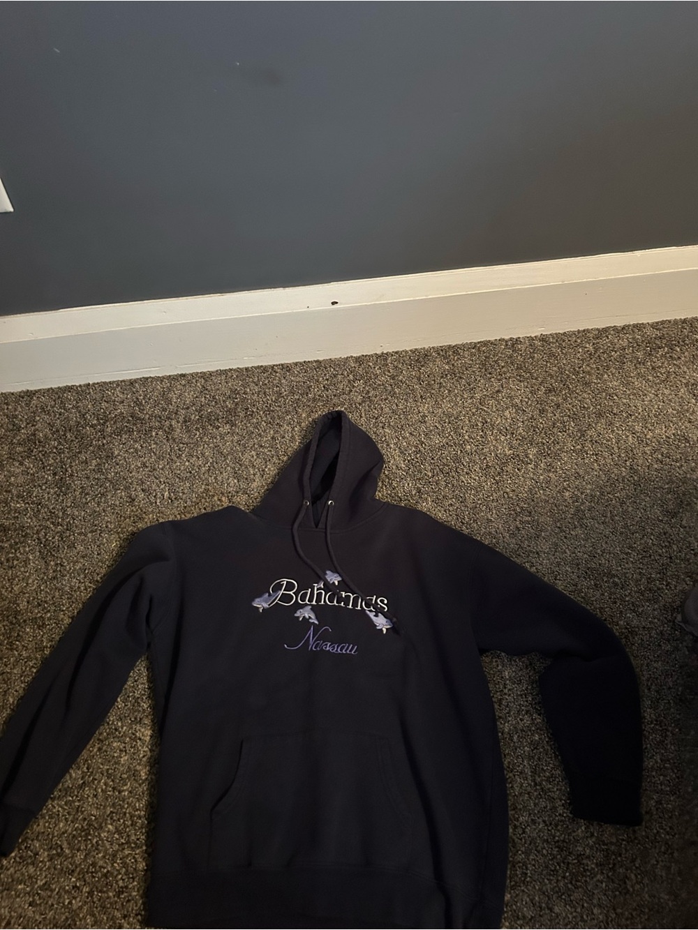 Bahamas Nassau Embroidered Hooded Sweatshirt - Black
